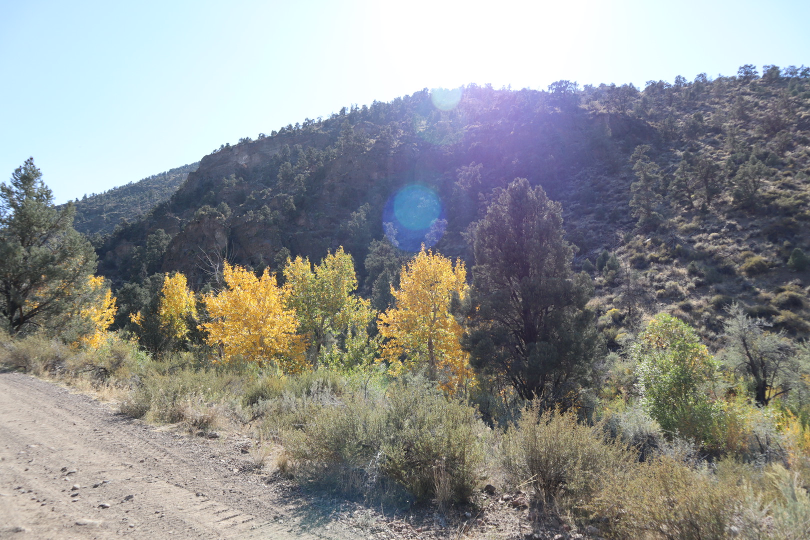 Desert Creek Campground/ First Opus 4 Adventure